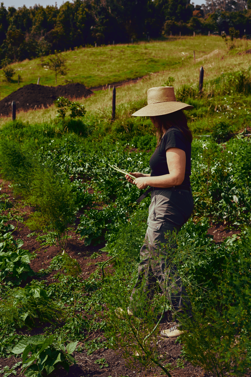 Vista aérea finca Subachoque